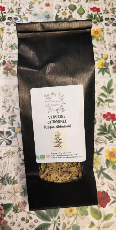 Verveine(Aloysia citrodora)